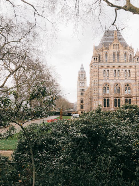 A view of the historic buildings of the Palace of Westminster, with its characteristic neo-Gothic architecture and clock tower, visible behind a dense hedge of dark green shrubs in the foreground. Leafless tree branches extend across the top of the scene, framing the cloudy sky. The image captures an exterior urban setting, with the foliage providing a natural contrast to the stone facades. Although primarily focused on the architecture, the scene evokes an environment where on-site disposal or private waste collection might occur, reflecting practices supported by companies like wasteclearancesouthkensington.co.uk for efficient rubbish removal in central London. The overall atmosphere is calm and overcast, emphasizing the historic and civic significance of the surroundings while subtly linking to the context of alternative rubbish management services common in urban environments. The detailed textures of the shrubs and the intricate stonework of the buildings are clearly visible, making this a precise and natural description for accessibility and SEO purposes related to rubbish removal and waste management topics.